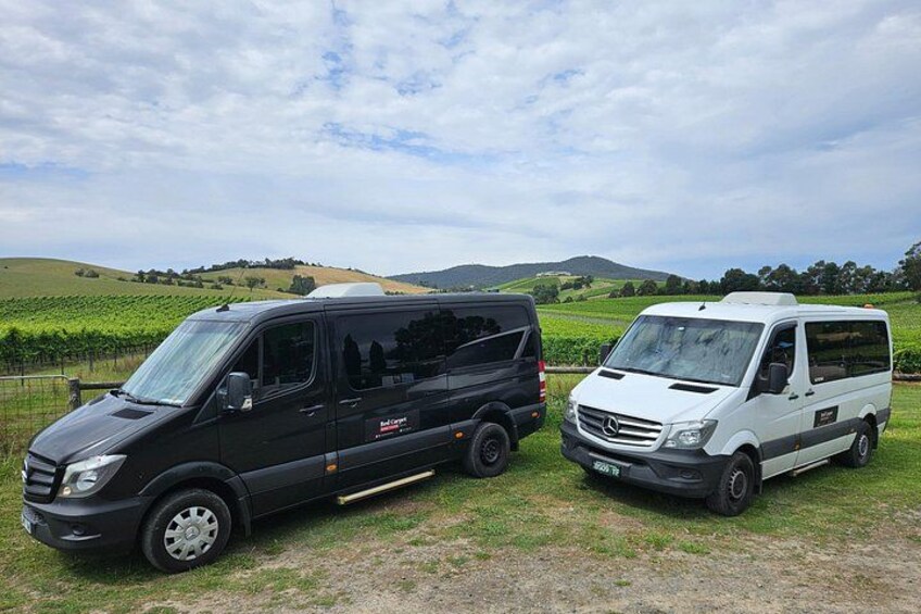 Two vans parked on a grassy field with a vineyard and hills in the background. 2