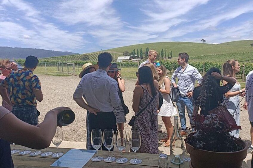 Un grupo de personas al aire libre, algunas sosteniendo copas de vino, con un viñedo al fondo. 2