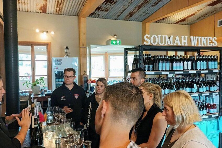 Yarra Valley Daily Public Group Wine Tour 2