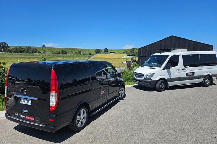 Yarra Valley Daily Public Group Wine Tour 5