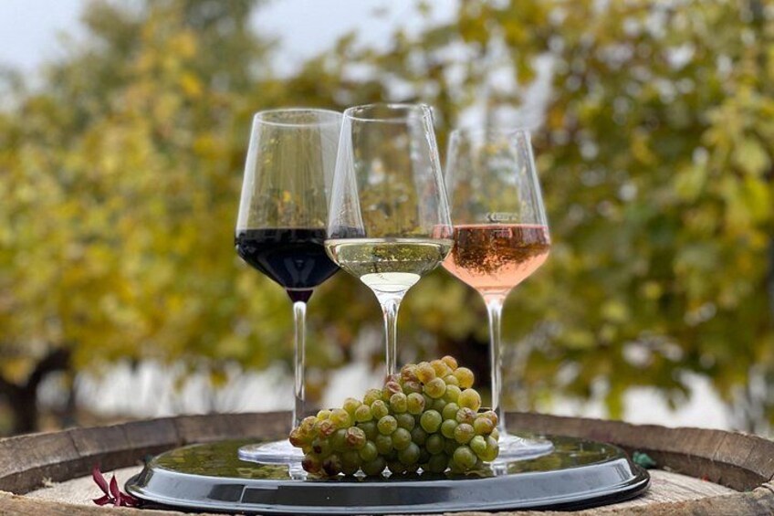 Admission Schönbrunn Palace & Wine Tasting 3