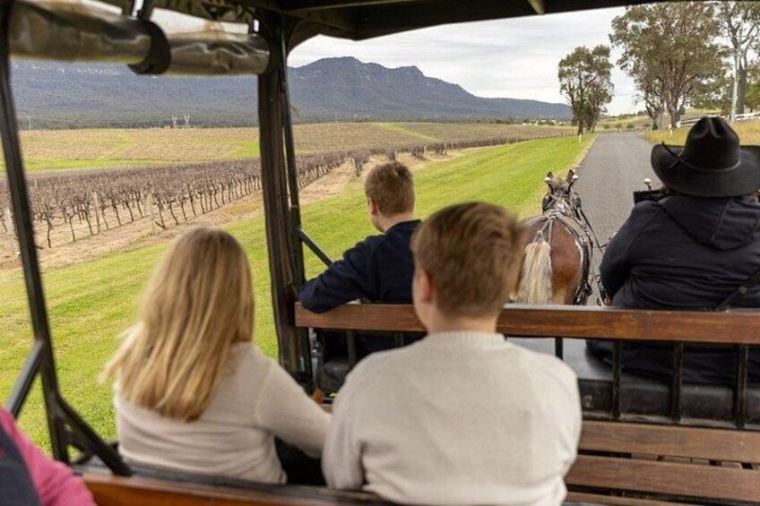 3- Hour Wine and Harvest the Hunter Horse Tour in Pokolbin 2
