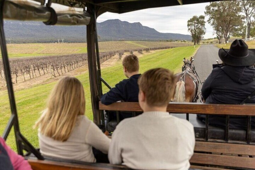  3- Hour Wine and Harvest the Hunter Horse Tour in Pokolbin