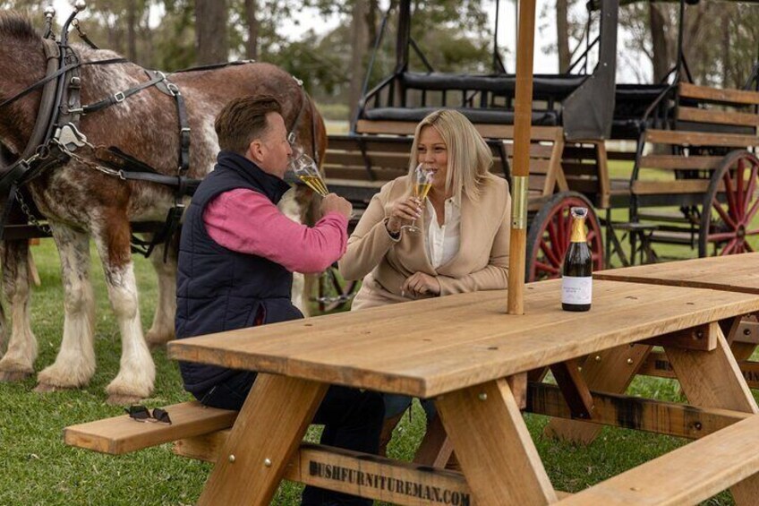  3- Hour Wine and Harvest the Hunter Horse Tour in Pokolbin