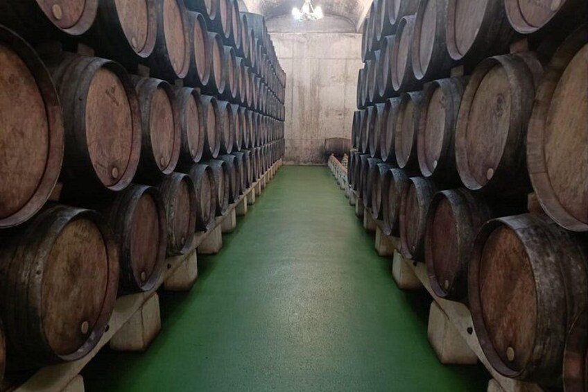 Full Rioja Wine Tour with Lunch from Bilbao - Private Tour 3