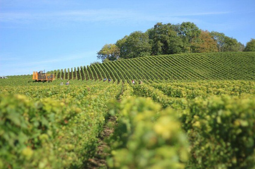 Full Rioja Wine Tour with Lunch from Bilbao - Private Tour 1