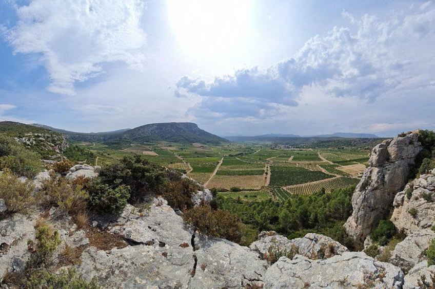 A mountainous landscape with a vineyard, rocky terrain, and a clear sky. 2