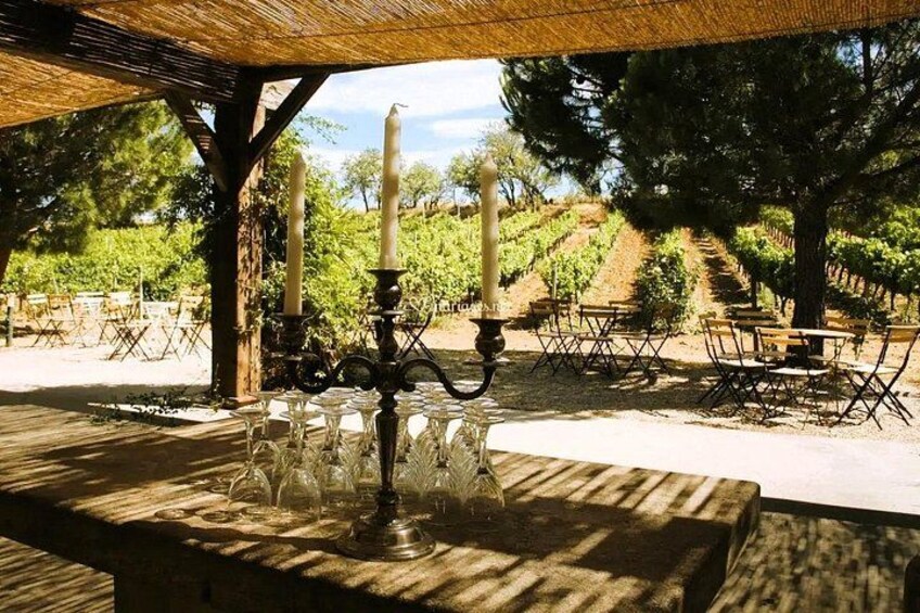 An outdoor dining area with tables and chairs, a pergola, and a vineyard in the background. 1