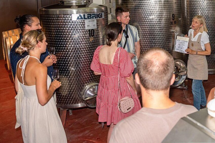 Wine Tour with Lunch and Wine Tasting 2