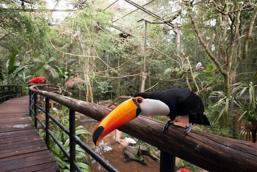 Bird Park