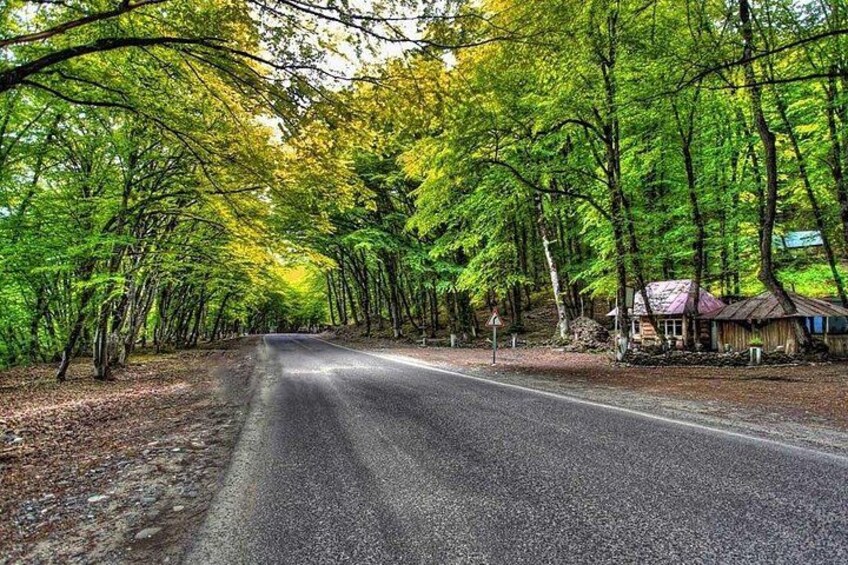 A road flanked by trees with a small building on the right. 2