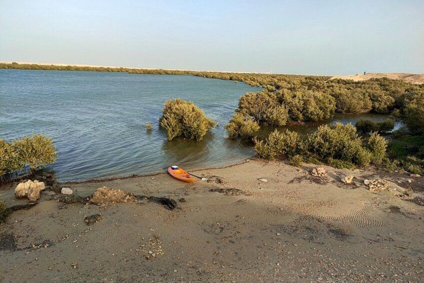Mangrove Kayaking Purple Island Adventure 4