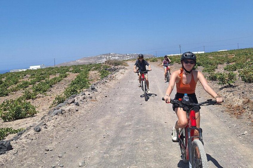 Santorini Small Group Guided E-bike Tour & Local Tomato Museum 5