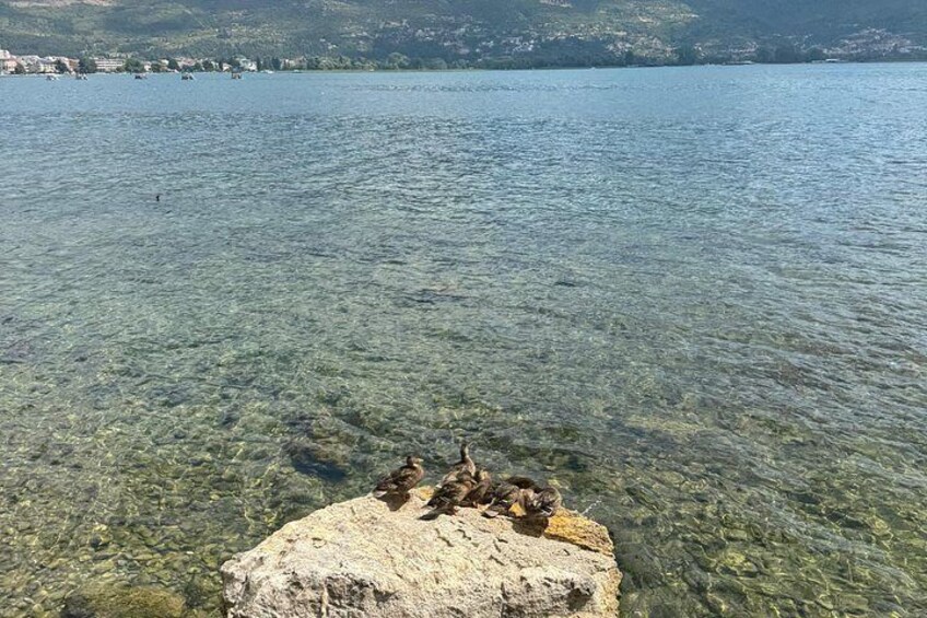 Private Day Tour from Tirana: Ohrid, St. Naum Monastery Macedonia 3