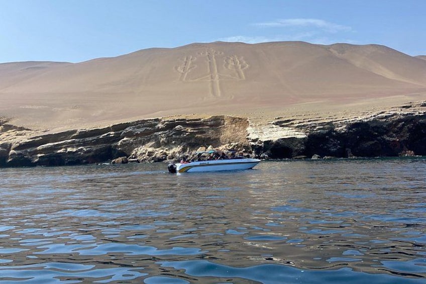 Ballestas Islands 2