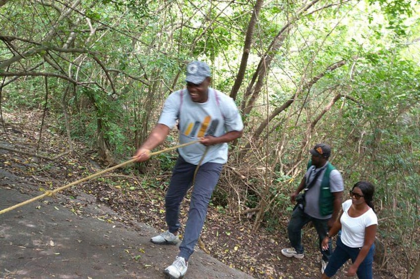 A person using a walking stick in a wooded area. 2