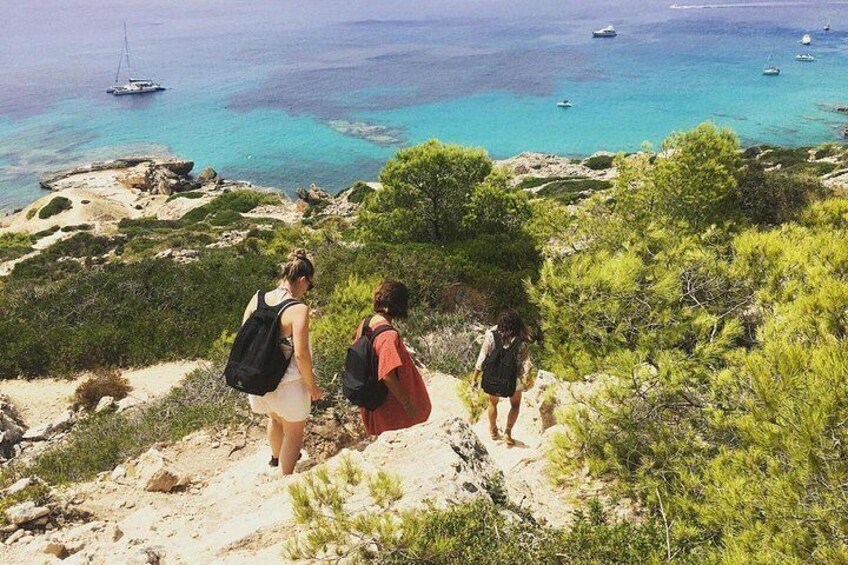 Best Beach Tours Mallorca. The Happy Vans. 3