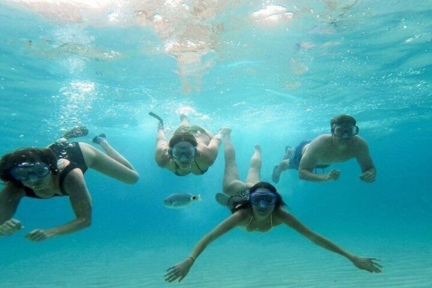 Best Beach Tours Mallorca. The Happy Vans. 2