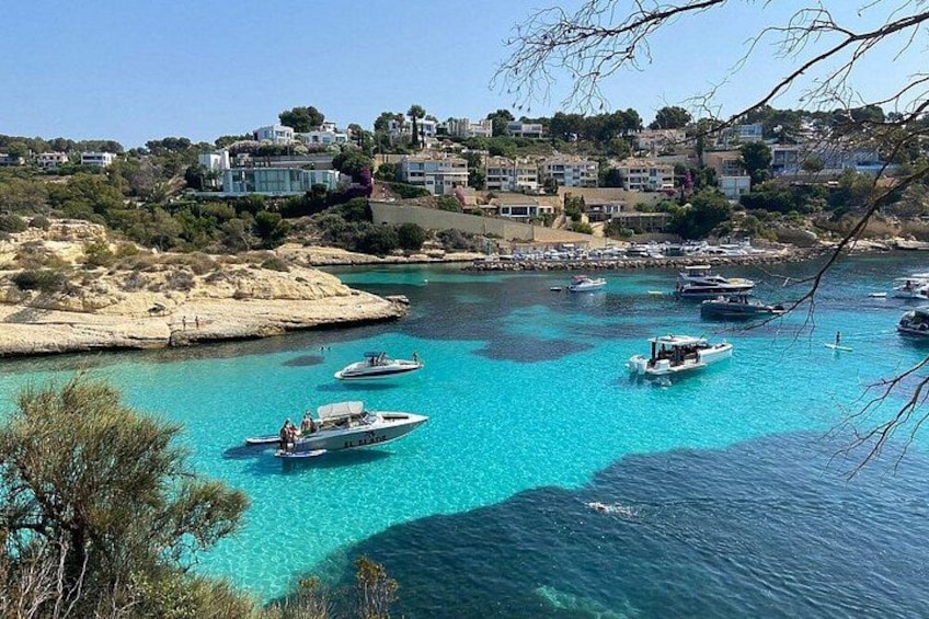 Best Beach Tours Mallorca. The Happy Vans. 5