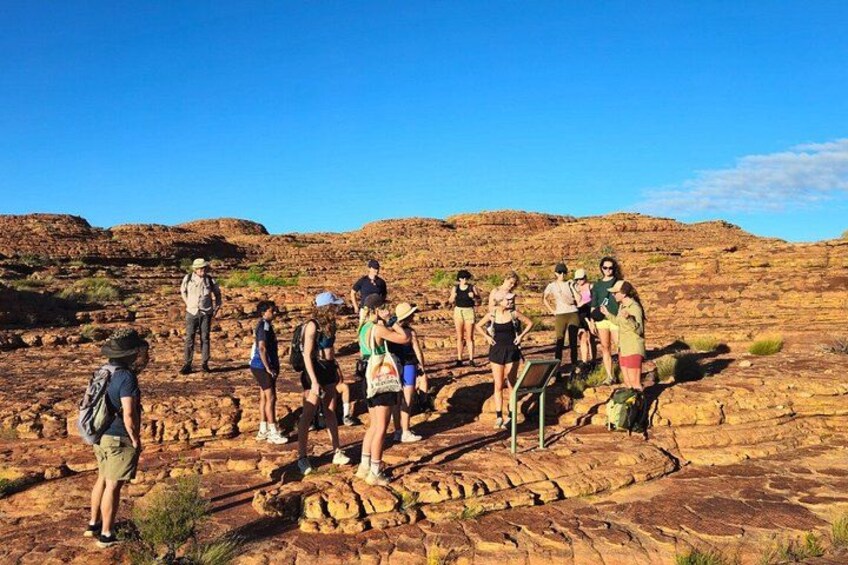 Uluru, Kata Tjuta and Kings Canyon Camping Safari from Alice Springs 2