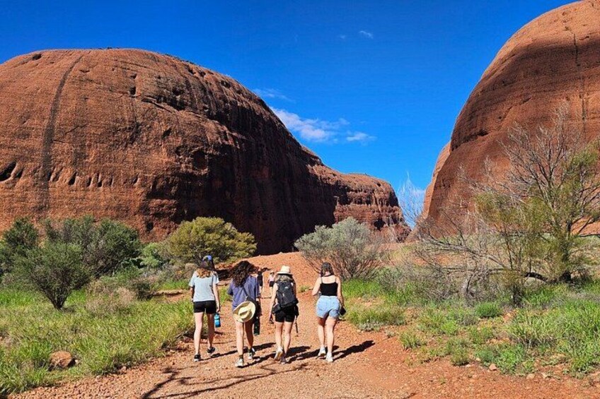 A group of hikers on a dirt path with red rock formations in the background. 5