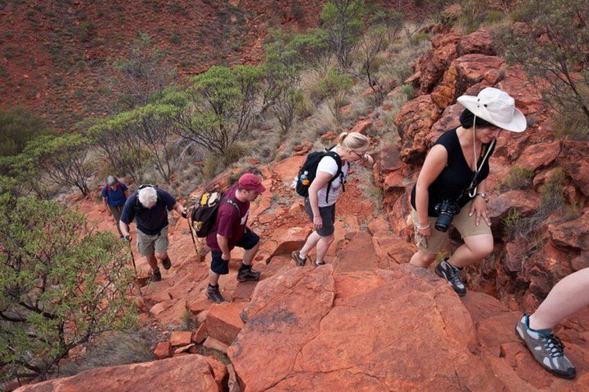 Uluru, Kata Tjuta and Kings Canyon Camping Safari from Alice Springs 5