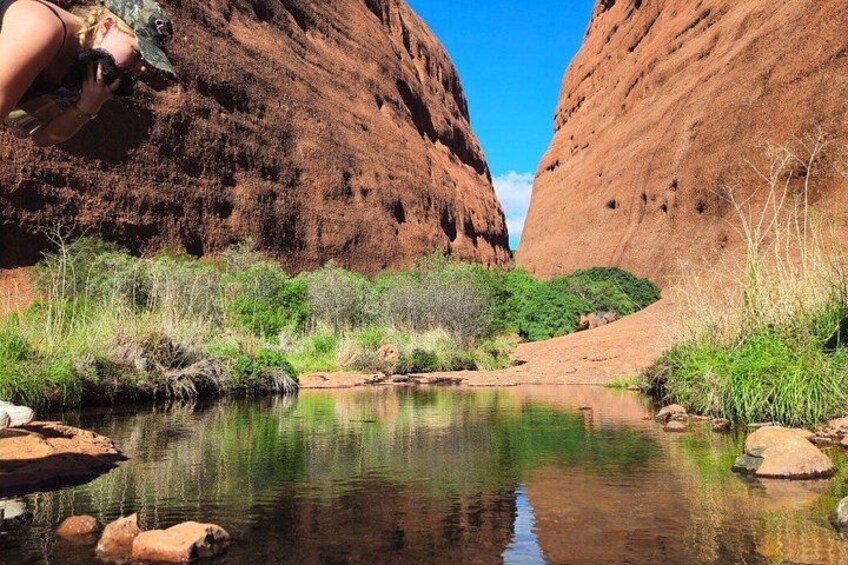 A river in a canyon with red rock walls and green vegetation. 3