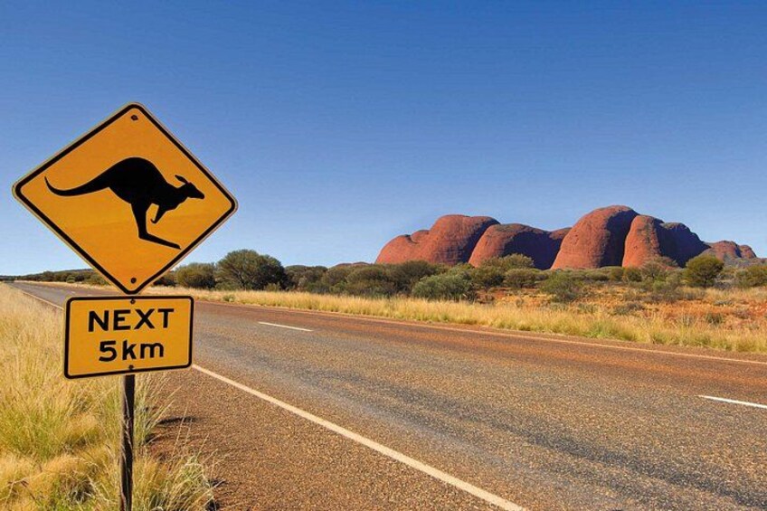 Uluru, Kata Tjuta and Kings Canyon Camping Safari from Alice Springs 4