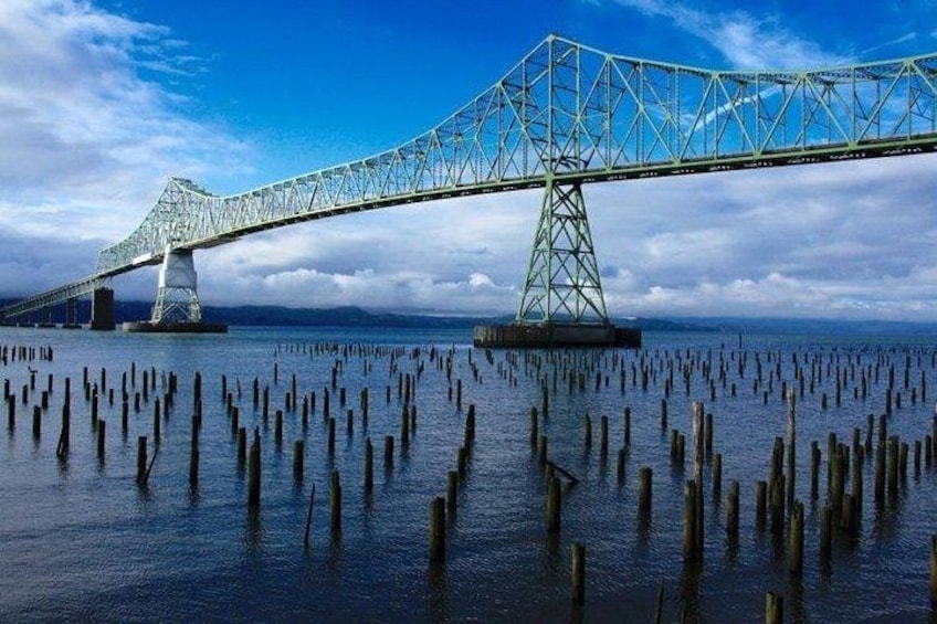 What type of wood is used for the Astoria pilings, and what purposes did they serve? Understanding this can reveal the history and significance of these structures. 2