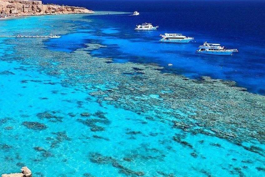 Ras Mohamed & White Island Diving & Snorkeling – Sharm El Sheikh 1
