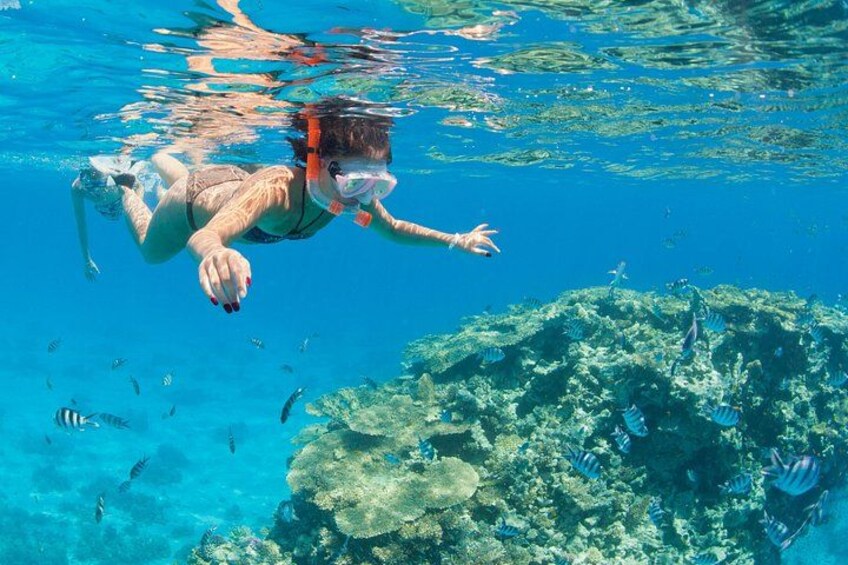 Ras Mohamed & White Island Diving & Snorkeling – Sharm El Sheikh 3