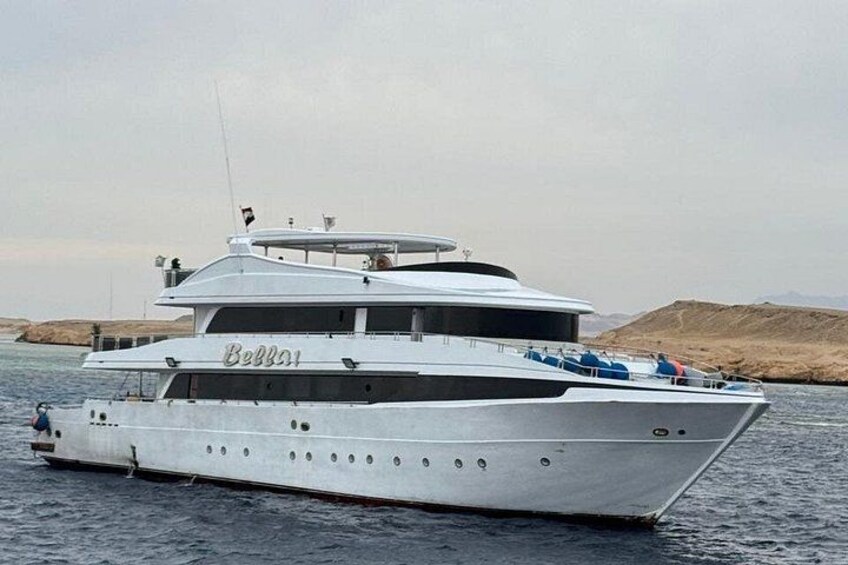 Ras Mohamed & White Island Diving & Snorkeling – Sharm El Sheikh 4