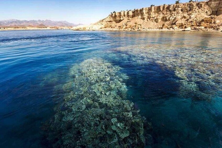Ras Mohamed & White Island Diving & Snorkeling – Sharm El Sheikh 2