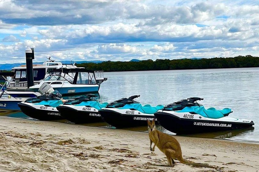 1.5 hr Jet Ski Safari tour to South Stradbroke Island! 2