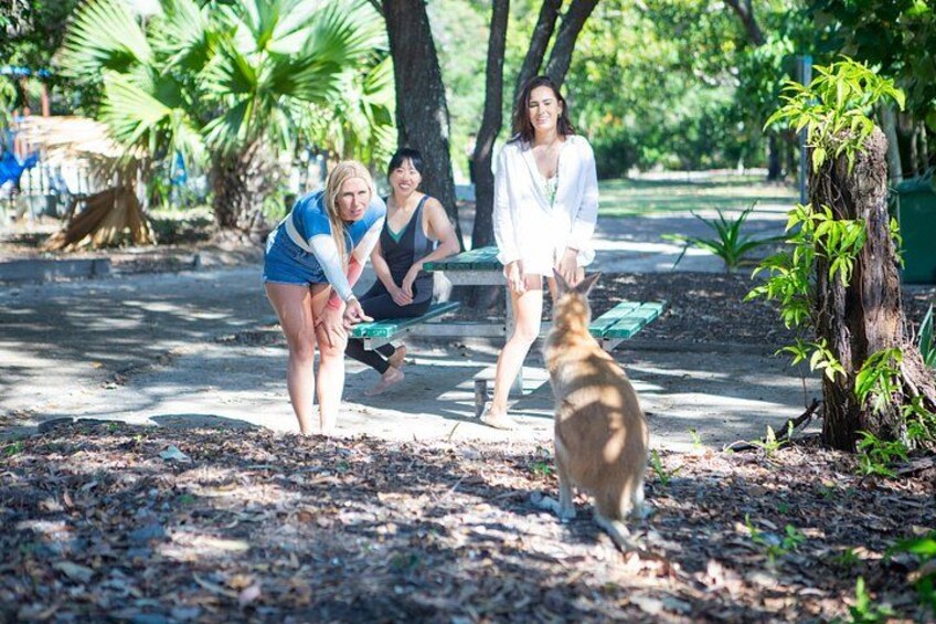 Three people in a park, one bending down, another sitting on a bench, and a dog approaching. 3