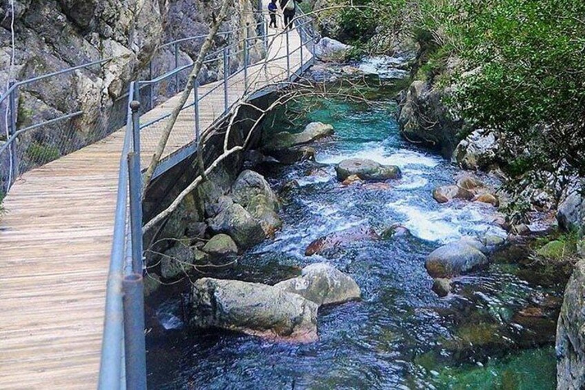 Eine Holzbrücke über einen felsigen Bach mit klarem Wasser, umgeben von viel Grün. 2
