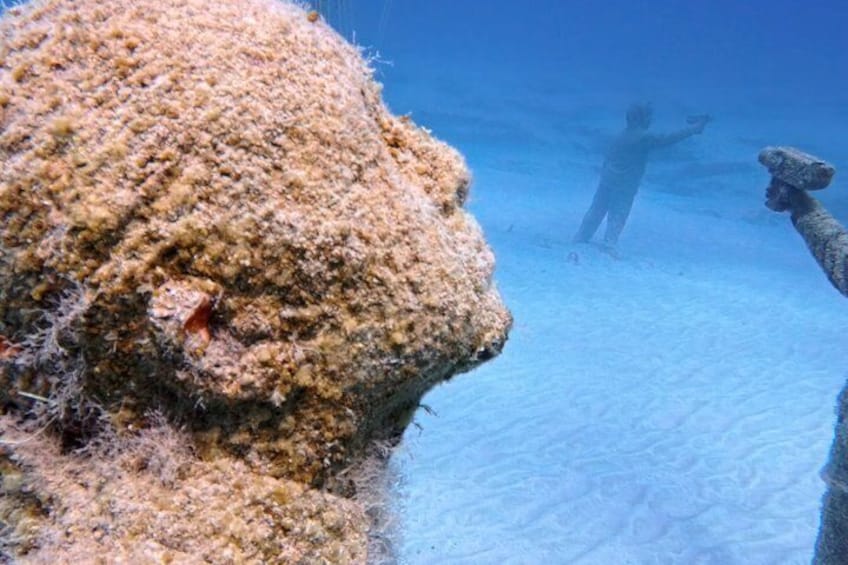 Private Discovery Scuba Diving with Sea Turtles 2