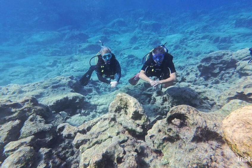 Private Discovery Scuba Diving with Sea Turtles 1
