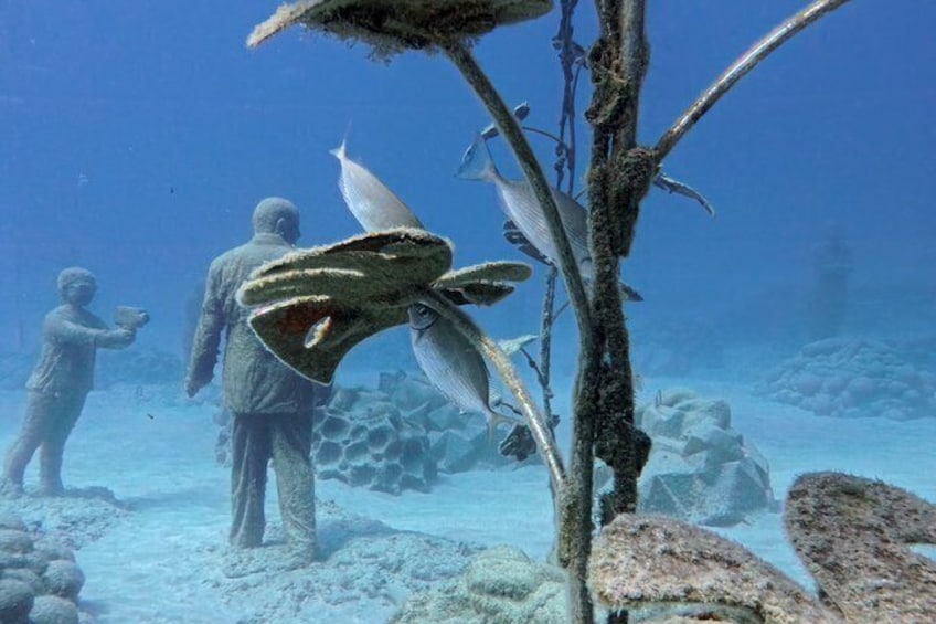 Private Discovery Scuba Diving with Sea Turtles 4