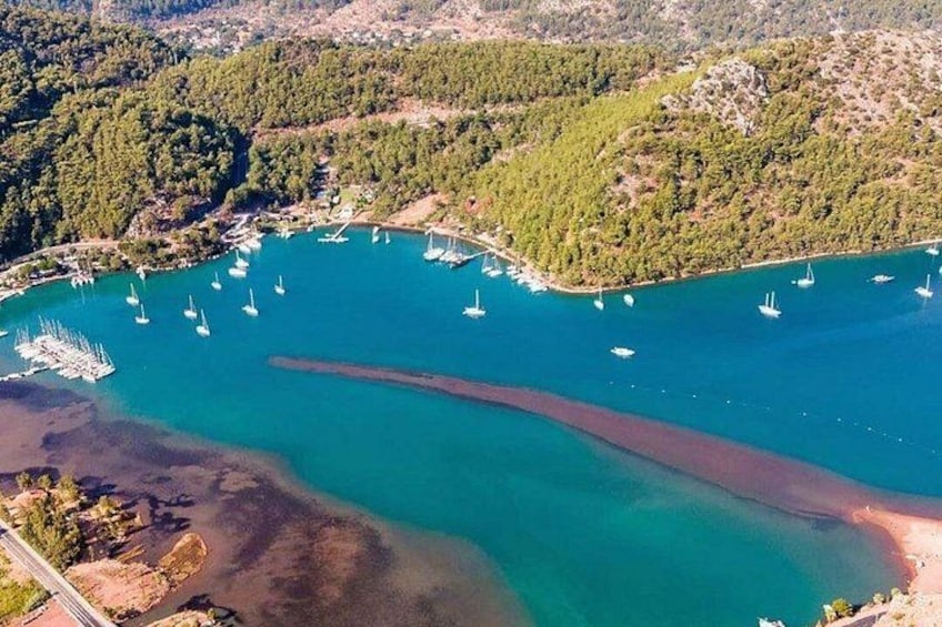 A coastal area with a marina, boats, and a forested landscape. 3