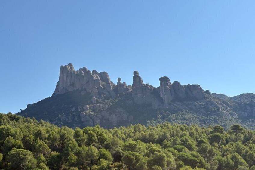 Montserrat very early: Hiking, Abbey, olive oil, very small group 2
