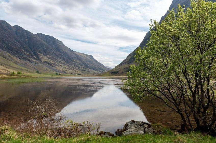A calm lake surrounded by mountains, a clear sky, and a tree in the foreground. 3