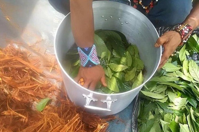 Een persoon houdt een metalen pot vast, gevuld met groene bladeren, met een stapel stro ernaast. 2