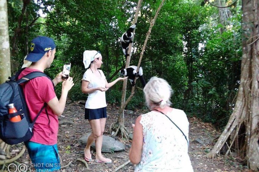 Guided tour of the Nosy Komba and Nosy Tanikely Islands 2