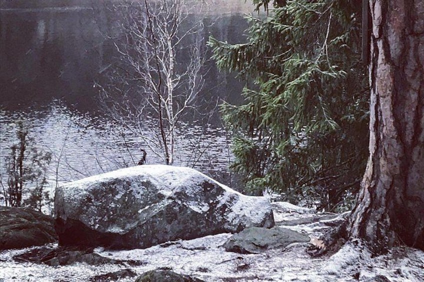Forestbathing Slow Walking and Healing Spring Water, Stockholm 2
