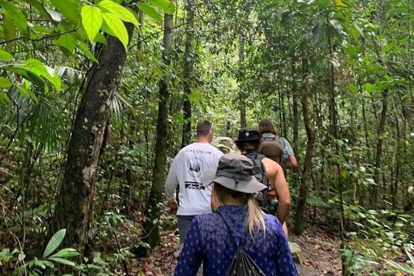 Eungella Platypus Tour 4