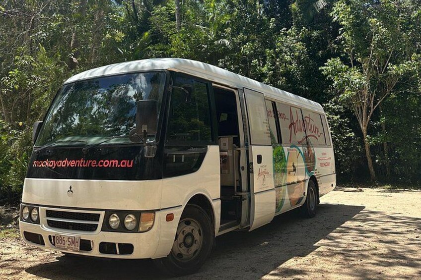 Eungella Platypus Tour 5