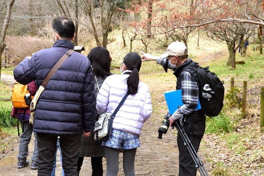 Easygoing Nature Walk in Hakone Tour 2