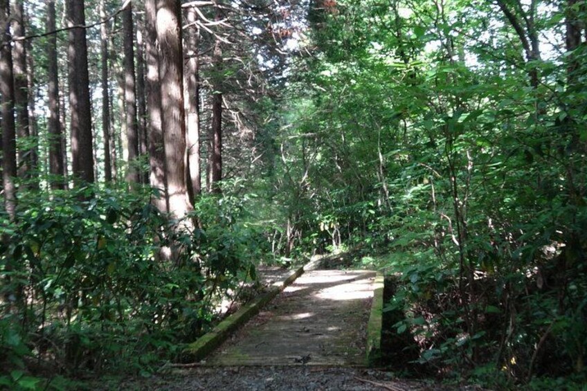 Easygoing Nature Walk in Hakone Tour 3