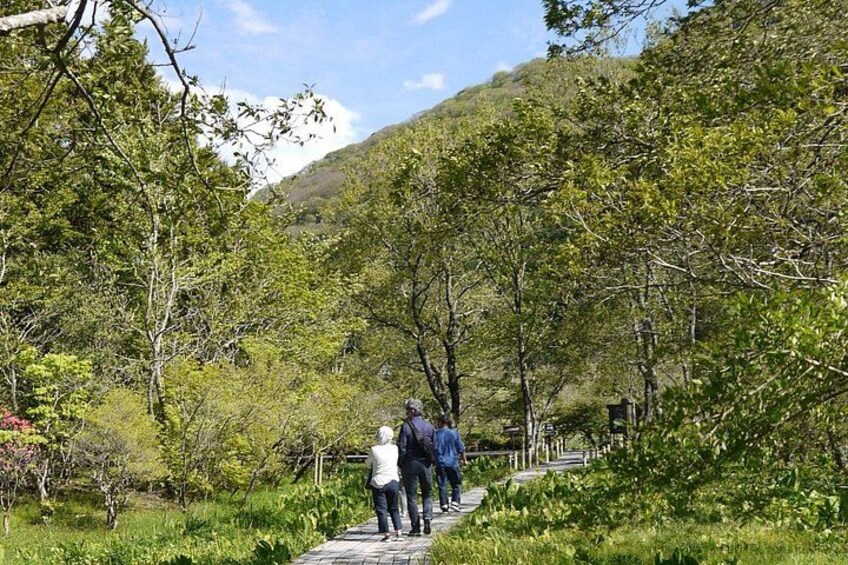 Easygoing Nature Walk in Hakone Tour 1